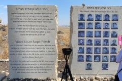 חיפה14