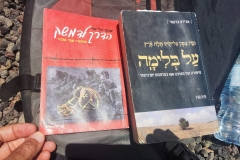 חיפה9