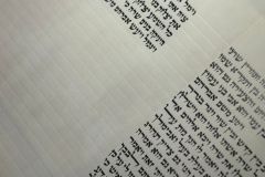 WhatsApp-Image-2026-03-01-at-13.28.04-1